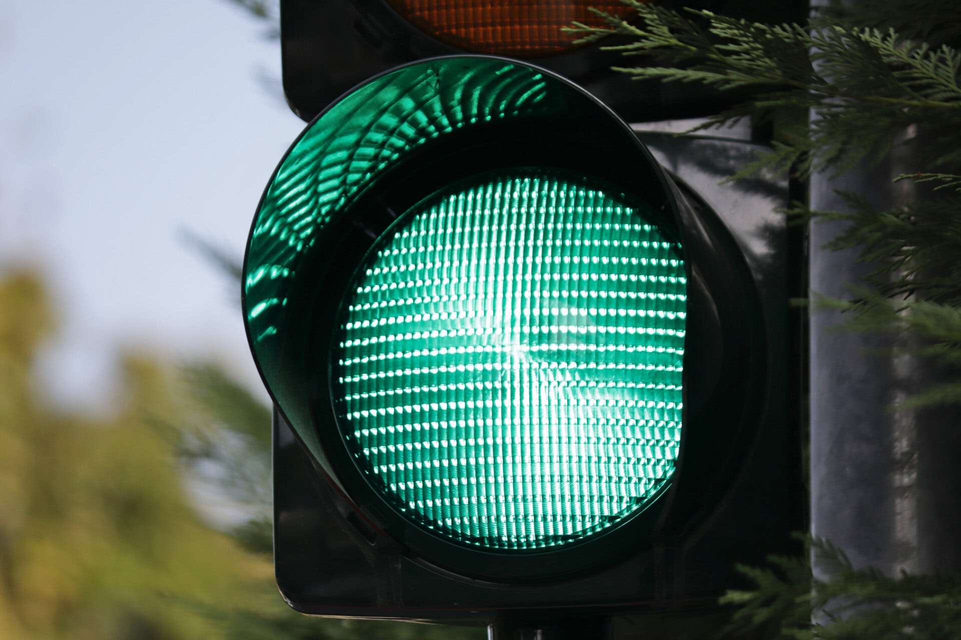 Close-up on the green LED light of a traffic light surrounded by green branches.